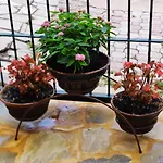 Eleni-areti *