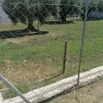 Eleni-areti *