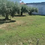 Eleni-areti Pefkochori