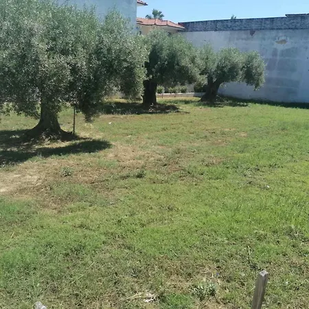 Eleni-areti Pefkochori