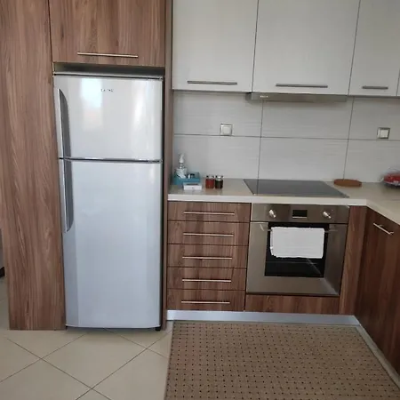 Eleni-areti Apartment Pefkochori