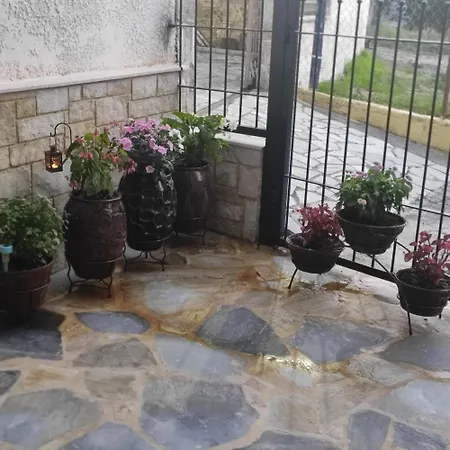 Eleni-areti Apartment Pefkochori