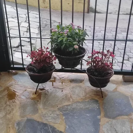 Eleni-areti Apartament Pefkochori